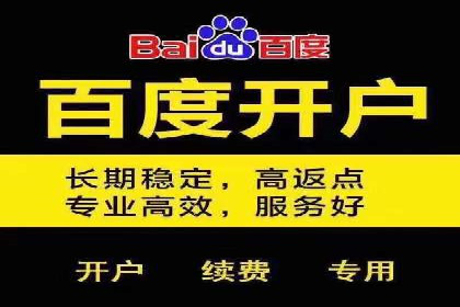 百度竞价托管公司成功案例：打造行业领先品牌